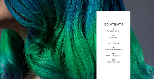 Insight Editions Hair To Dye For – Insight Editions