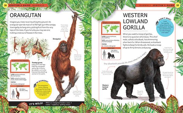 Insight Editions Jungle Animals – Insight Editions