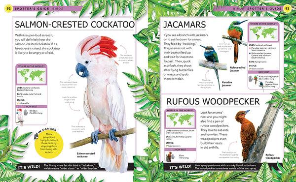 Insight Editions Jungle Animals – Insight Editions