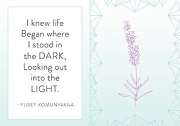 Insight Editions Mindfulness – Insight Editions