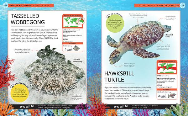 Insight Editions Ocean Creatures – Insight Editions