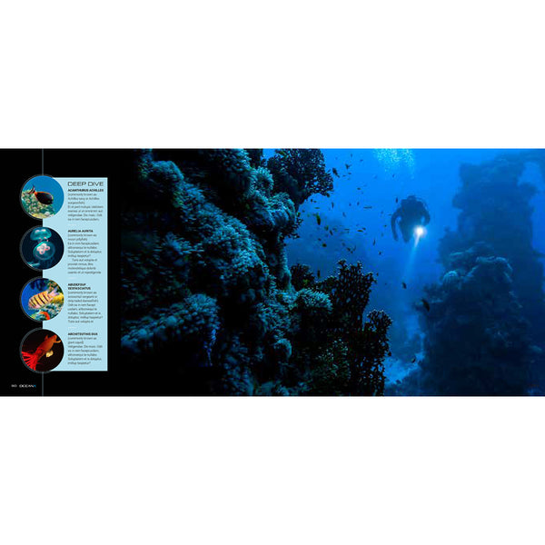 Insight Editions Our Future Below – Insight Editions