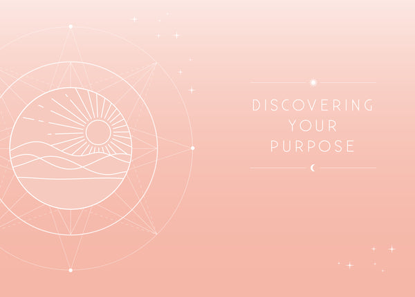 Insight Editions Purpose – Insight Editions