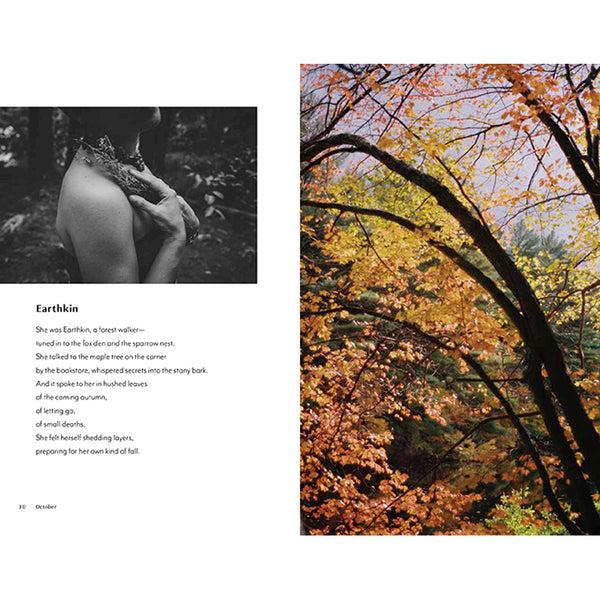 Insight Editions Quietly Wild – Insight Editions