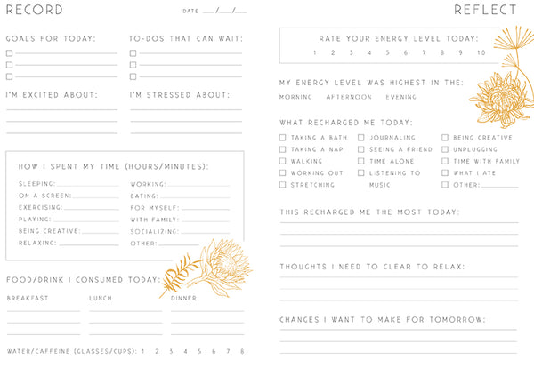 Insight Editions Recharge – Insight Editions