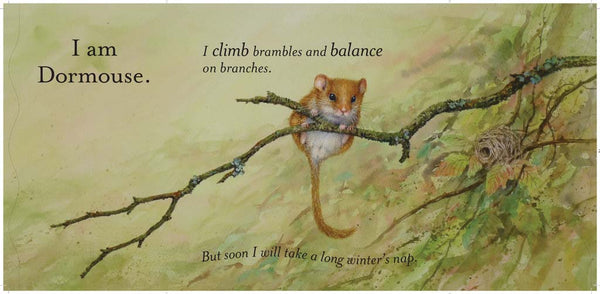 Insight Editions Whose Nest? – Insight Editions