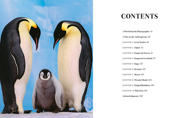 Insight Editions Wild Lives – Insight Editions