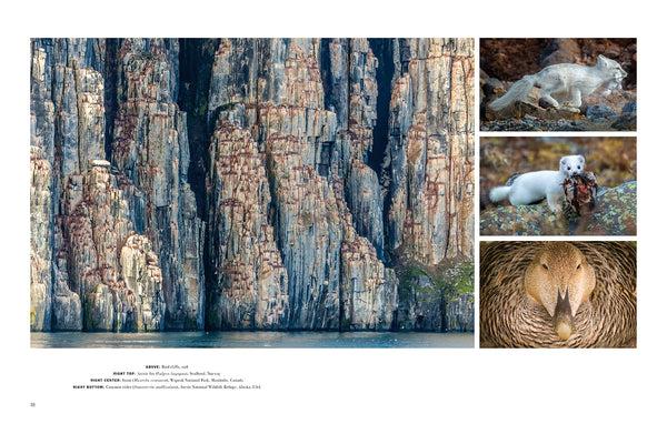 Insight Editions Wild Lives – Insight Editions