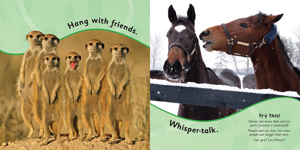 Insight Editions Mama What Can I Do Today? – Insight Editions