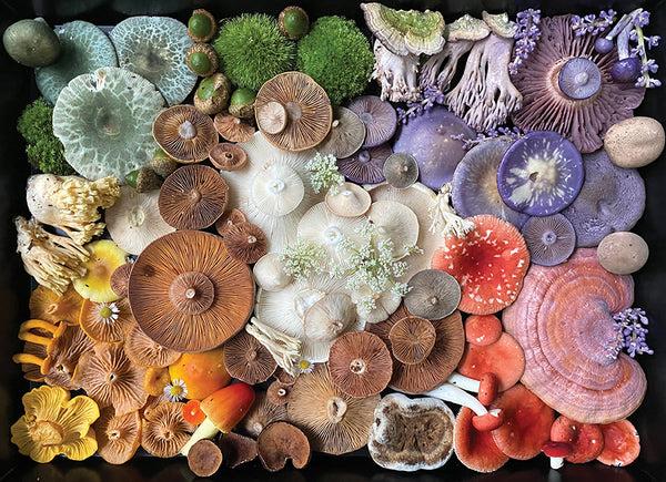 Insight Editions Mushroom Medley Jigsaw Puzzle – Insight Editions