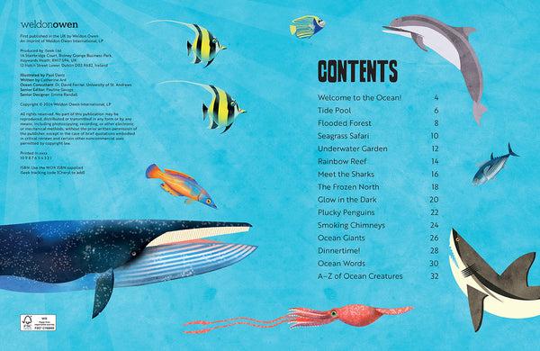 Insight Editions My First Oceans Atlas – Insight Editions