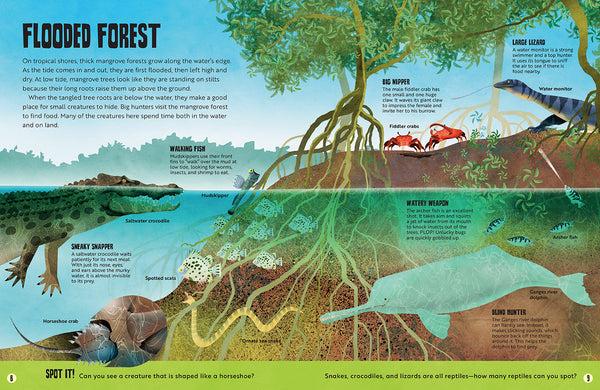 Insight Editions My First Oceans Atlas – Insight Editions