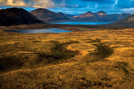 Insight Editions Refuge Card Portfolio Set (Set Of 20 Cards) – Insight Editions