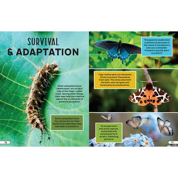 Insight Editions Smithsonian Explores: Bugs And Insects – Insight Editions