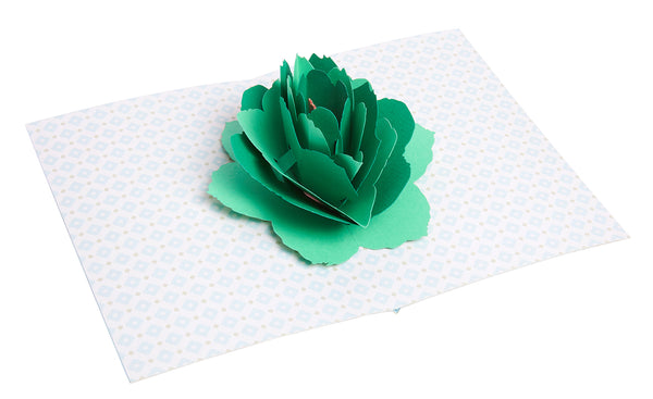 Insight Editions Succulent Signature Pop-Up Card [Birthday] – Insight Editions