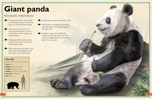 Insight Editions The Magnificent Book Of Animals – Insight Editions