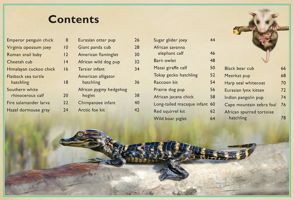 Insight Editions The Magnificent Book Of Baby Animals – Insight Editions