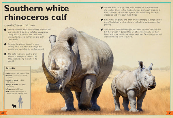 Insight Editions The Magnificent Book Of Baby Animals – Insight Editions