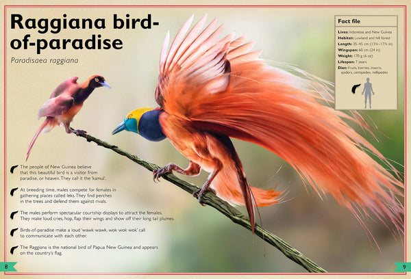 Insight Editions The Magnificent Book Of Birds – Insight Editions