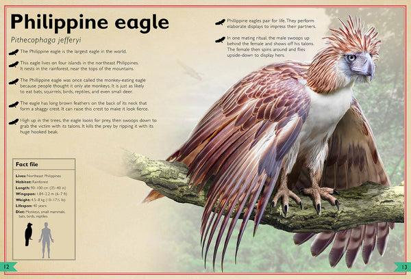 Insight Editions The Magnificent Book Of Birds – Insight Editions