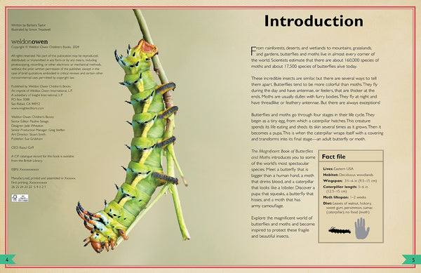 Insight Editions The Magnificent Book Of Butterflies & Moths – Insight Editions