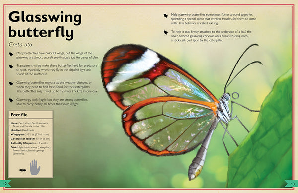 Insight Editions The Magnificent Book Of Butterflies & Moths – Insight Editions