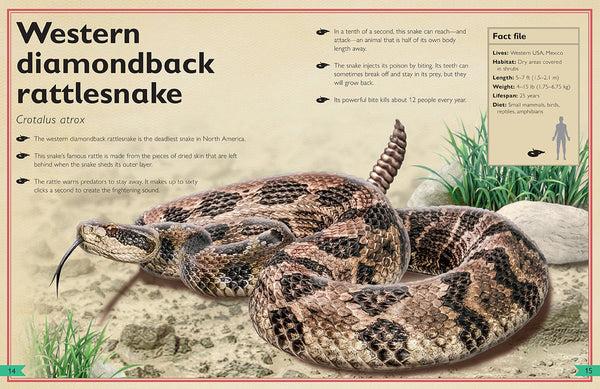 Insight Editions The Magnificent Book Of Dangerous Animals – Insight Editions