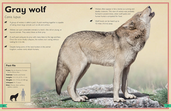 Insight Editions The Magnificent Book Of Dangerous Animals – Insight Editions