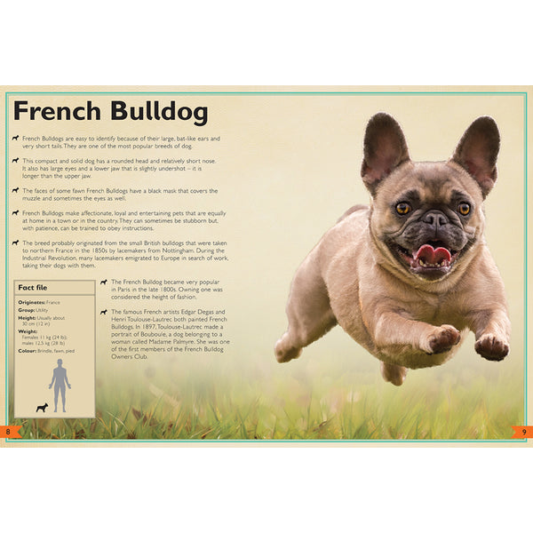 Insight Editions The Magnificent Book Of Dogs – Insight Editions