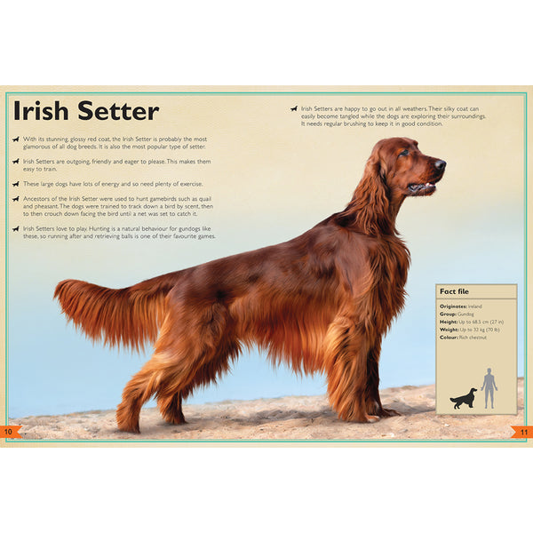 Insight Editions The Magnificent Book Of Dogs – Insight Editions