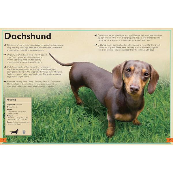 Insight Editions The Magnificent Book Of Dogs – Insight Editions