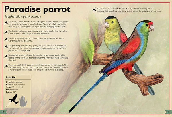 Insight Editions The Magnificent Book Of Extinct Animals – Insight Editions