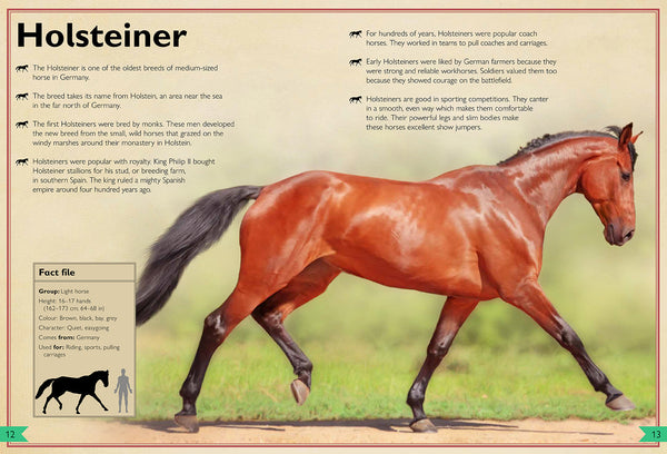 Insight Editions The Magnificent Book Of Horses – Insight Editions