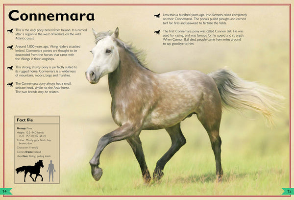 Insight Editions The Magnificent Book Of Horses – Insight Editions