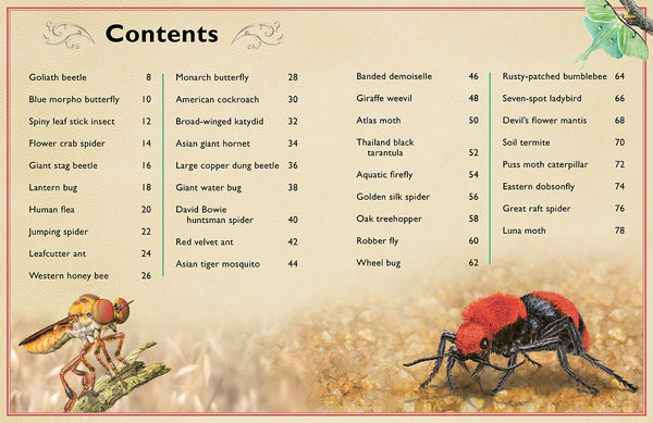 Insight Editions The Magnificent Book Of Insects And Spiders – Insight Editions