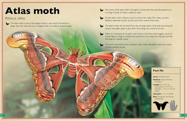 Insight Editions The Magnificent Book Of Insects And Spiders – Insight Editions