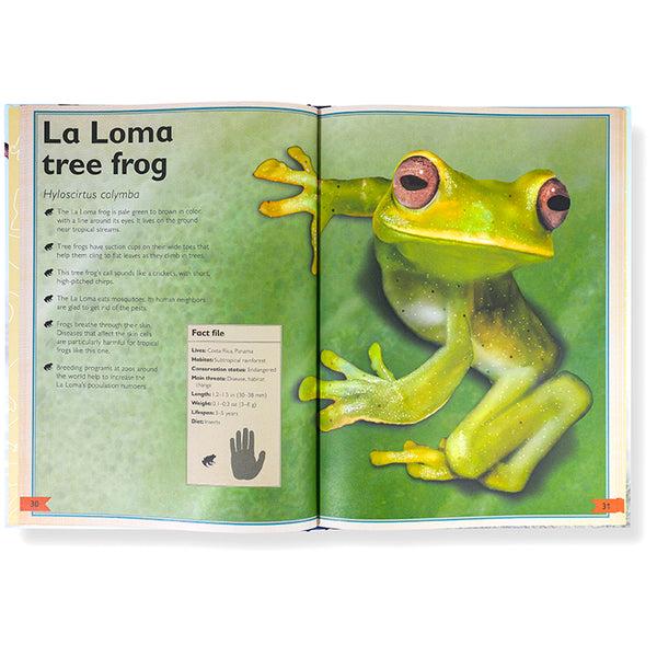Insight Editions The Magnificent Book Of Reptiles And Amphibians – Insight Editions
