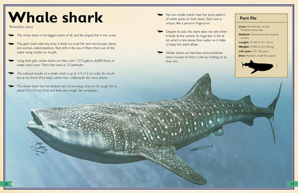 Insight Editions The Magnificent Book Of Sharks – Insight Editions