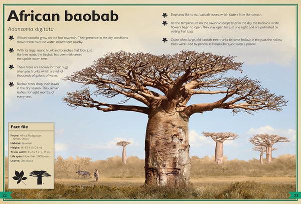 Insight Editions The Magnificent Book Of Trees – Insight Editions