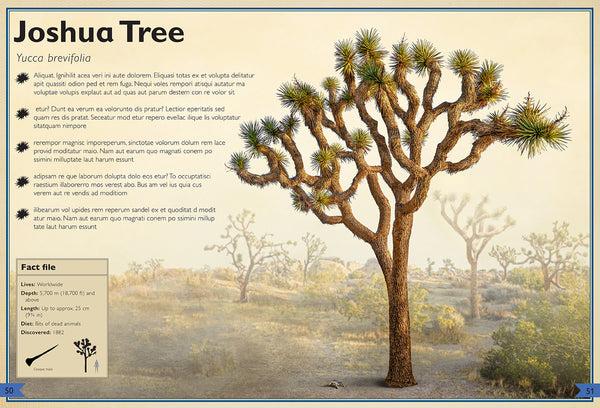 Insight Editions The Magnificent Book Of Trees – Insight Editions