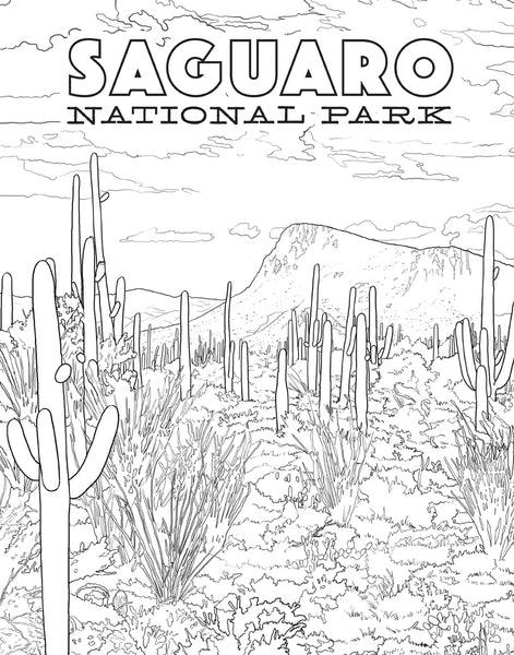 Insight Editions The National Parks Poster Coloring Book – Insight Editions