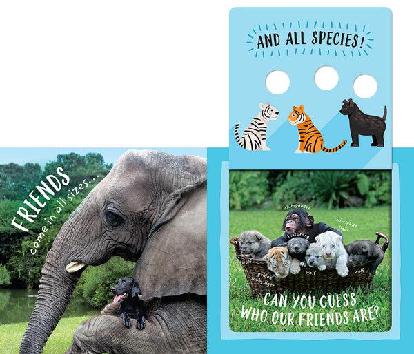 Insight Editions The Safari Circle: Animal Pals – Insight Editions