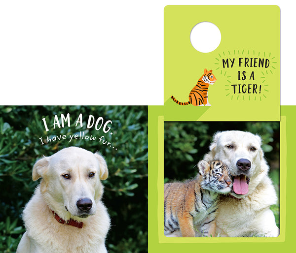 Insight Editions The Safari Circle: Animal Pals – Insight Editions