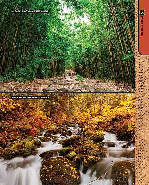 Insight Editions The Total Camping Manual – Insight Editions