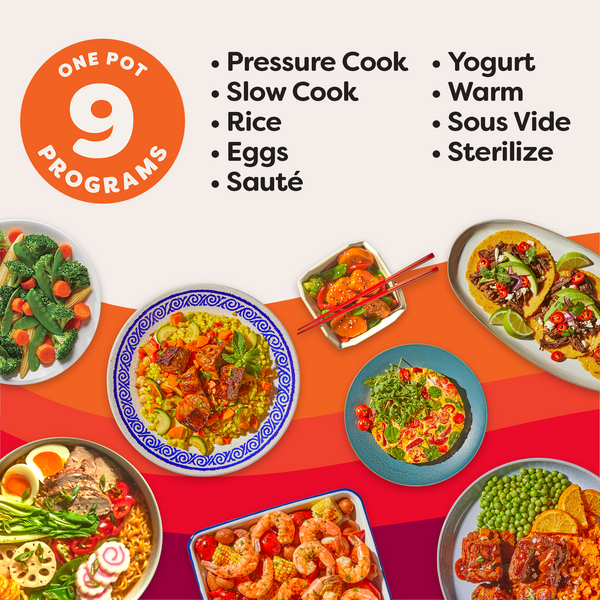 Instant Pot ® DUO ® Plus 6QT Multi-Use Pressure Cooker V3