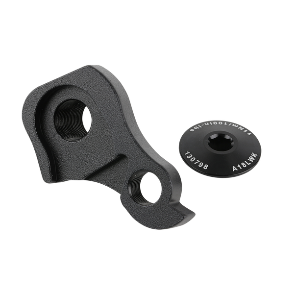 intense Derailleur Hanger Kit (Trail/DH/Enduro)