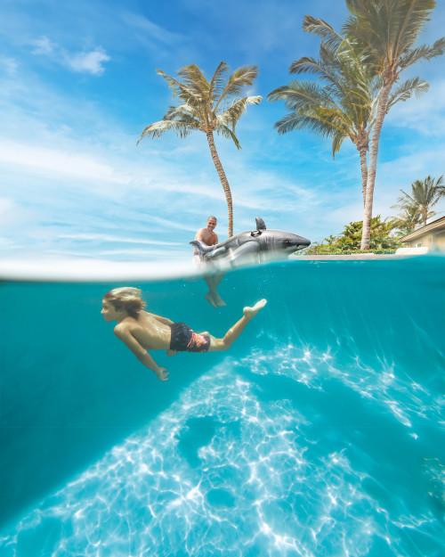 intex Great White Shark Ride-On Inflatable Pool Float