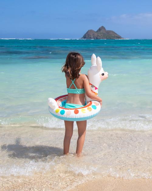 Intex Big Animal Inflatable Swim Rings - Assortment