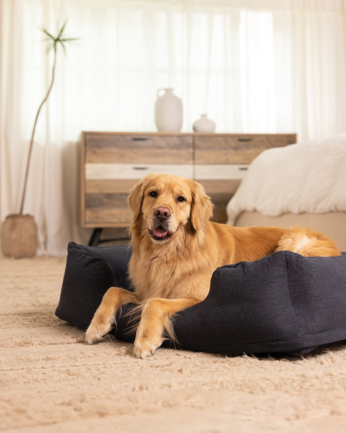 Intex Inflatable Pet Bed With Hand Pump - Medium