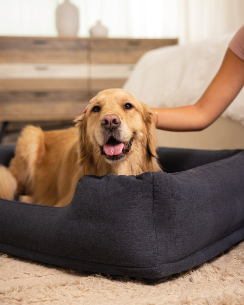 Intex Inflatable Pet Bed With Hand Pump - Medium